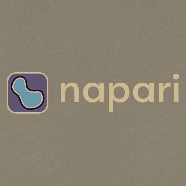 napari merch (lighter design)