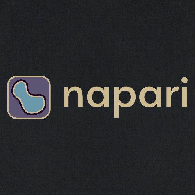 napari merch (lighter design)