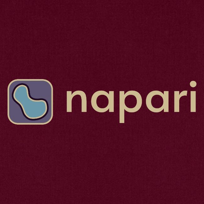 napari merch (lighter design)