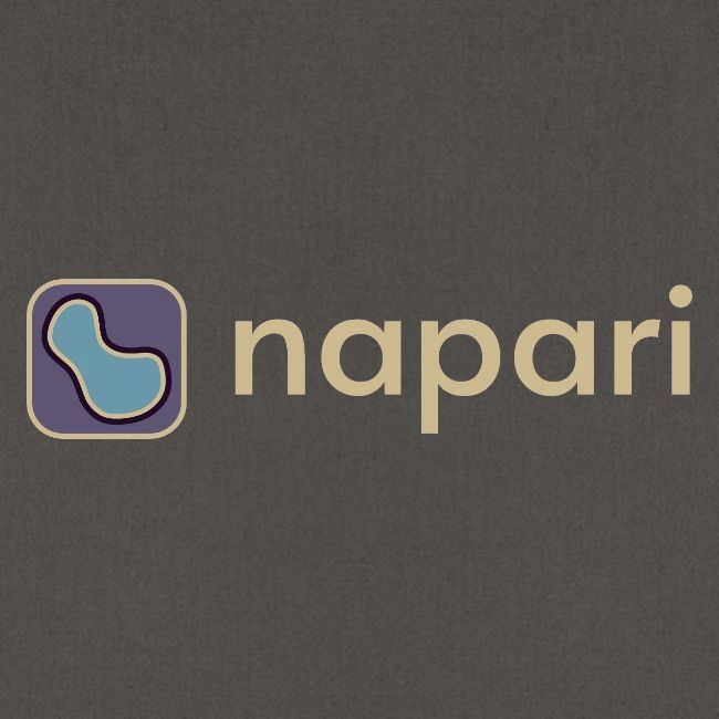 napari merch (lighter design)