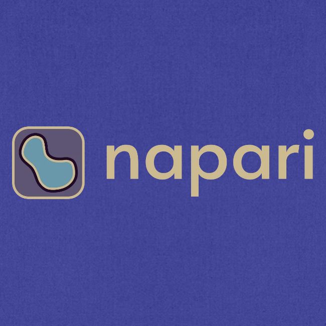 napari merch (lighter design)