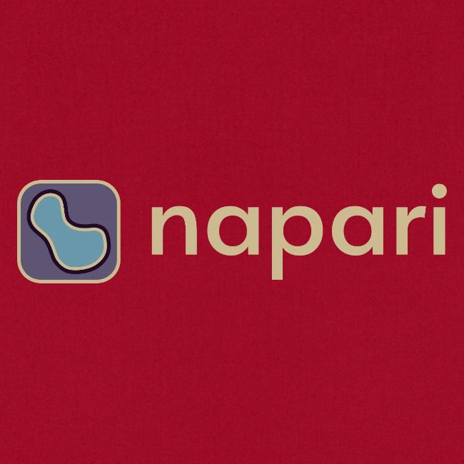 napari merch (lighter design)