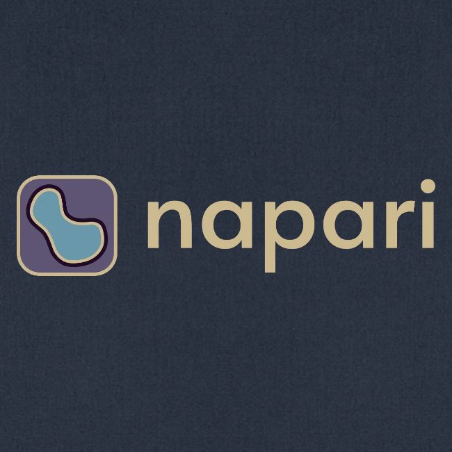 napari merch (lighter design)