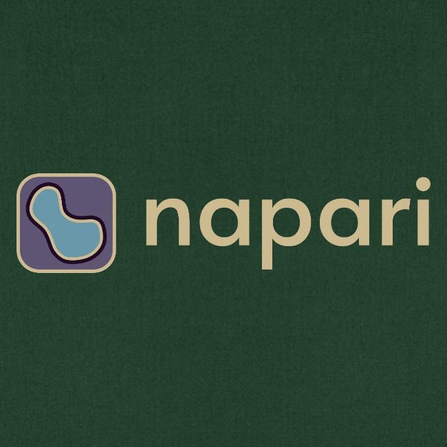 napari merch (lighter design)