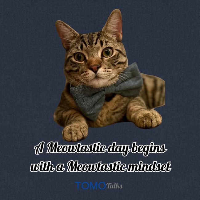 Meowtastic Mindset