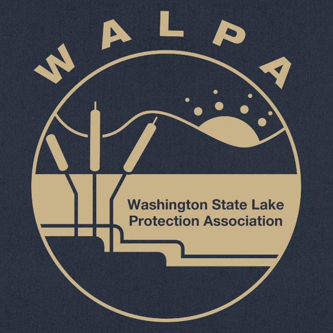 gold logo