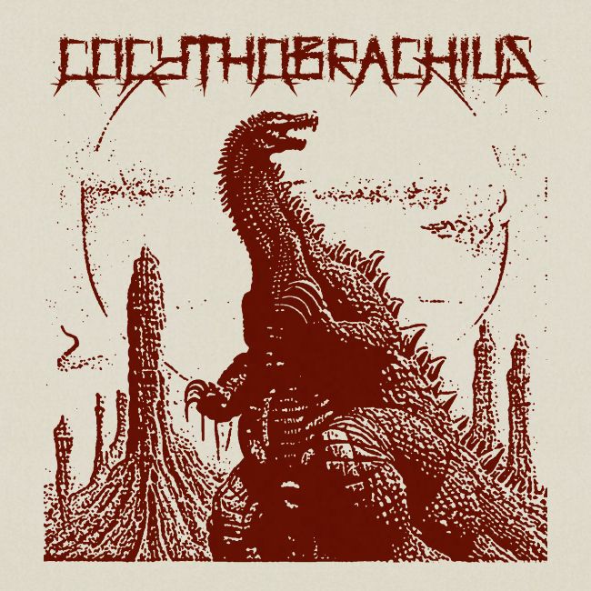 The Towering Cocythobrachius
