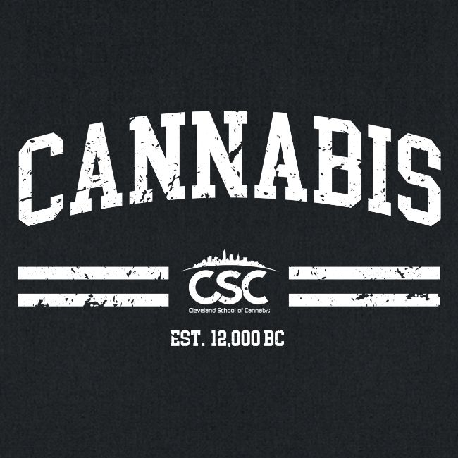 CSC Est 12000 BC Concept C