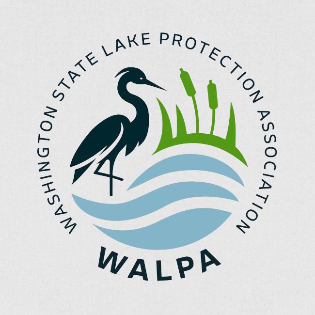 WALPA Double Sided Design 2
