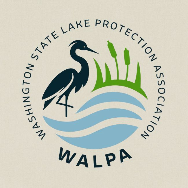 WALPA Double Sided Design 2