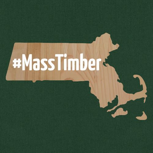 MassTimber (white letters)