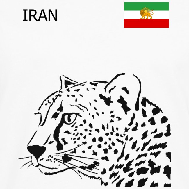 Iran Sport Soccer