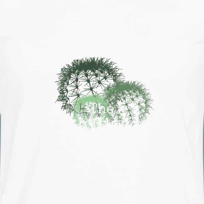 Math Citadel Cactus Trio