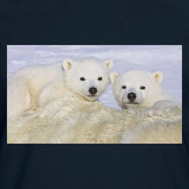 polarbears