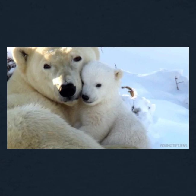 polarbearhug