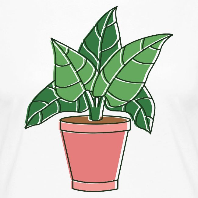 plant 2