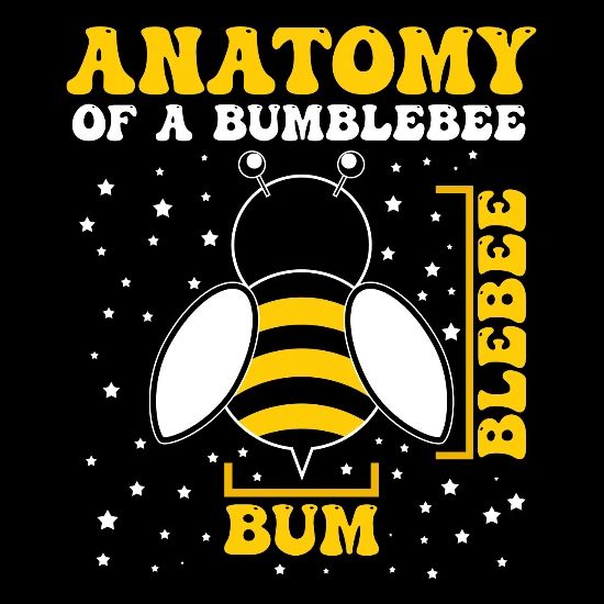 Anatomy Of A Bumble Bee Bumble Bee Identification TPWD