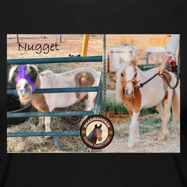 Nugget
