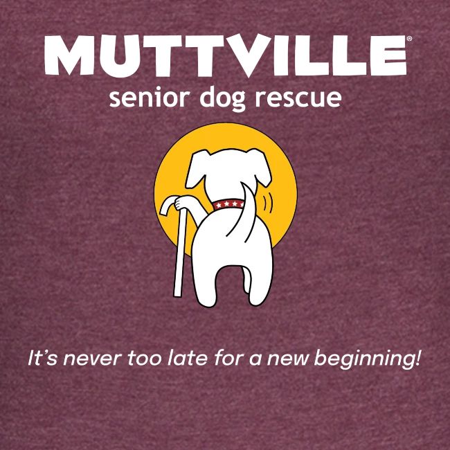 It's never too late for a new beginning!