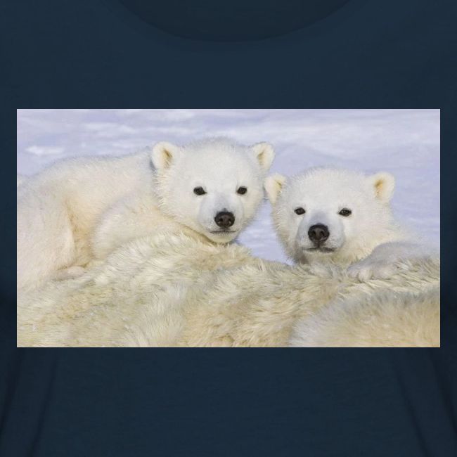 polarbears