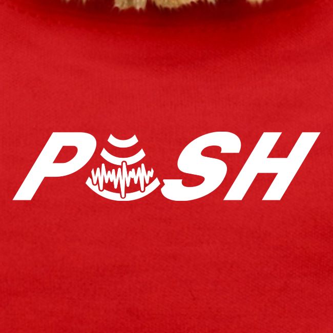 PUSH Simple Logo