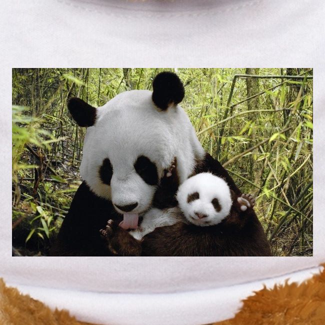 panda