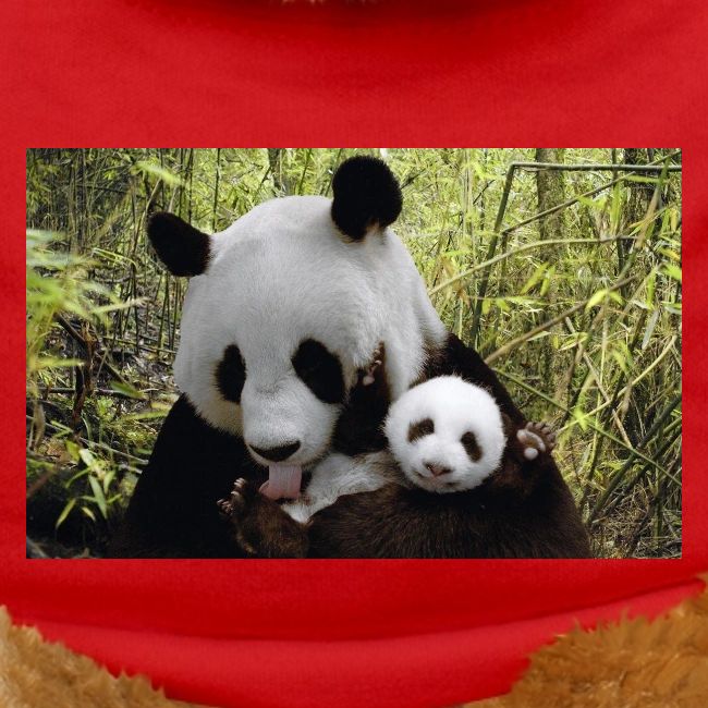 panda