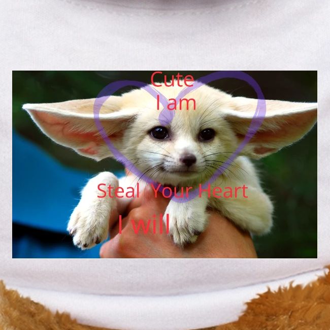 baby fox