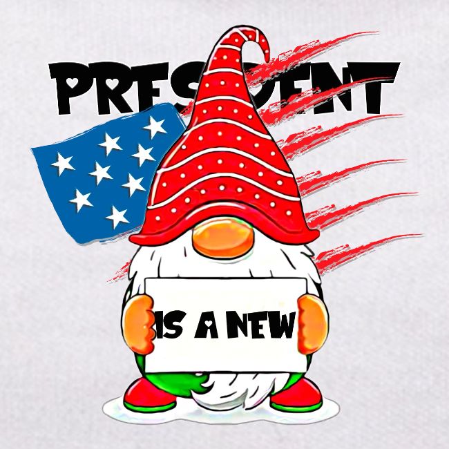 Christmas funny gnomes