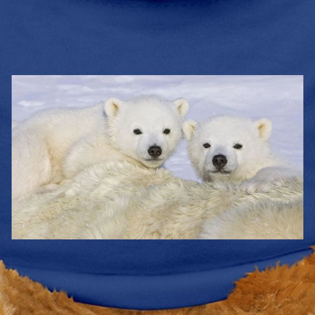 polarbears