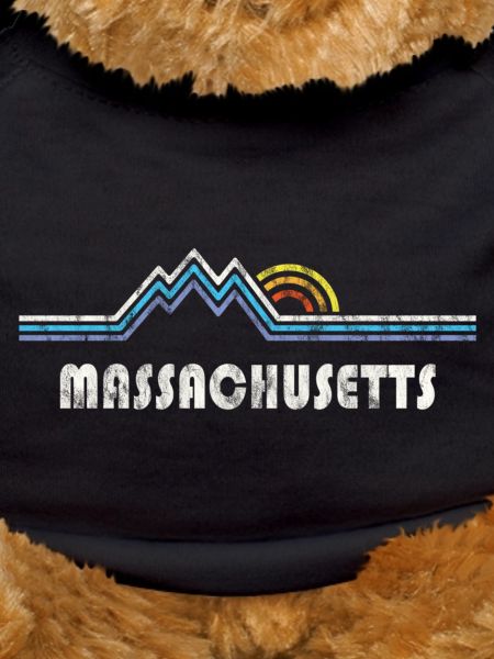 Retro Massachusetts Gift Massachusetts