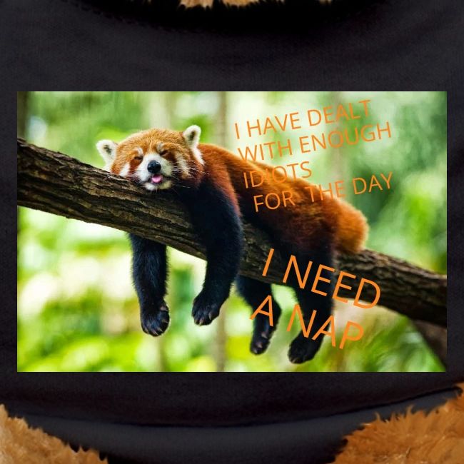 Fox napping meme