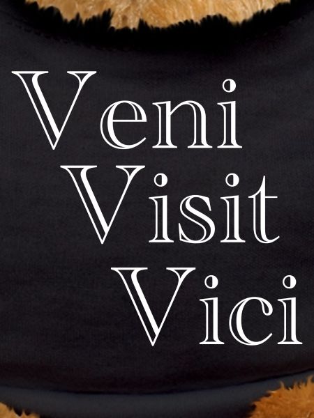 Veni Visit Vici