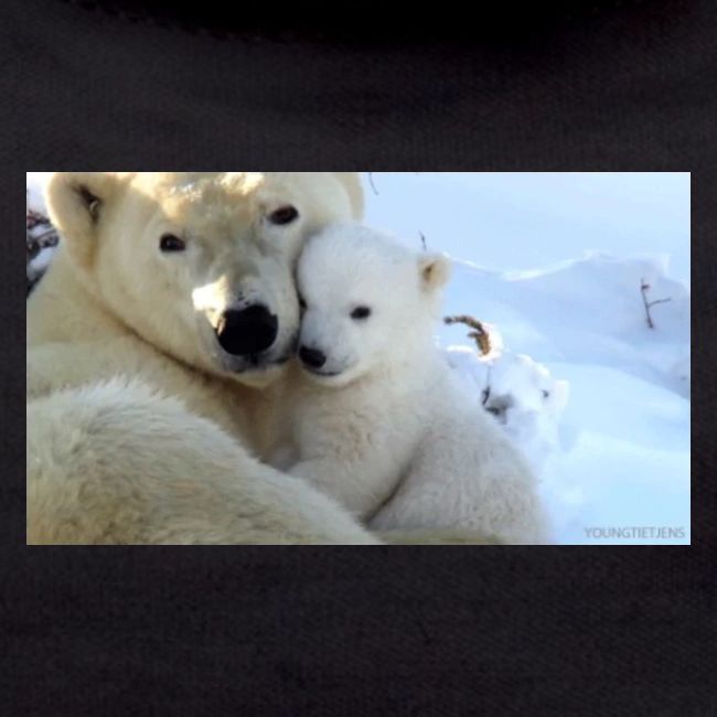polarbearhug