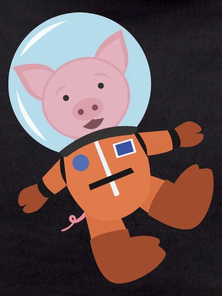 Pig In Space Suit