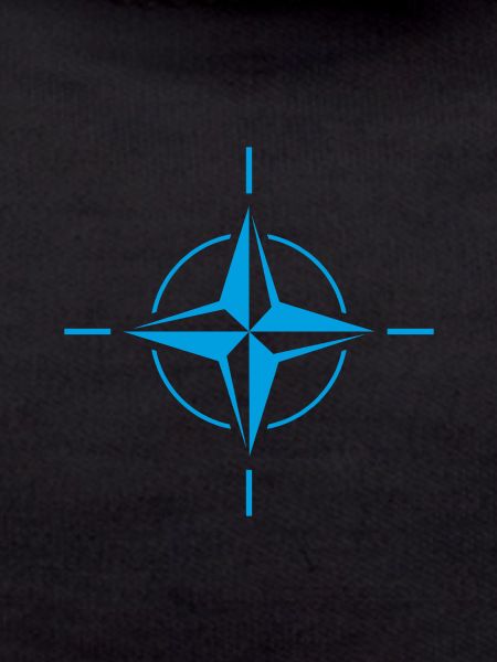 NATO OTAN Flag