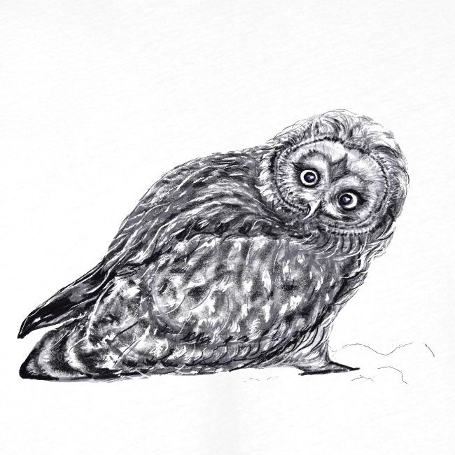 Owl snow