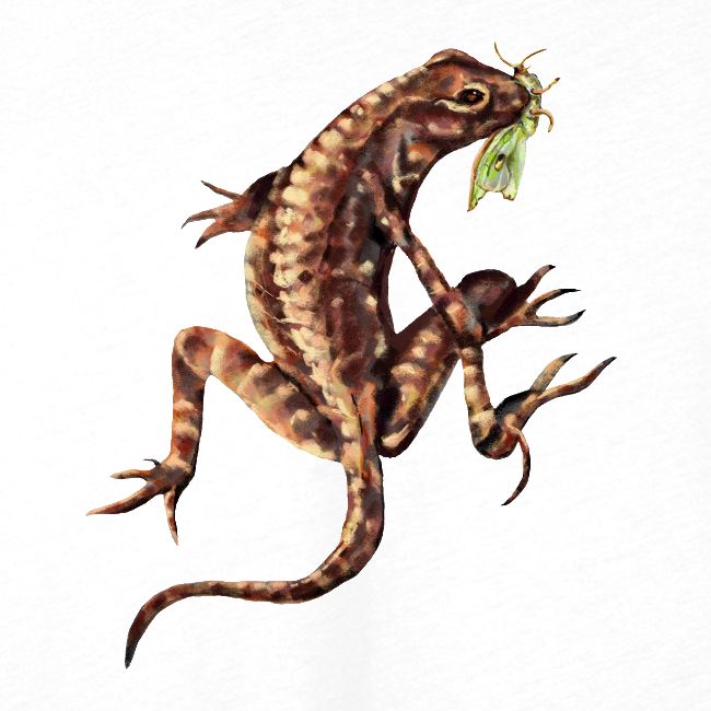 Lizard and bug