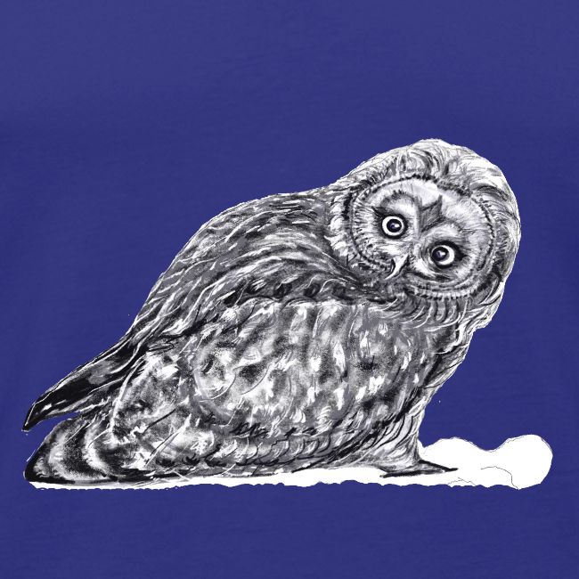 Owl snow