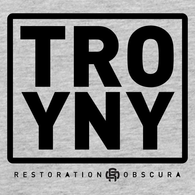 TROY NY Cube