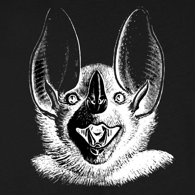 Bat Head 2