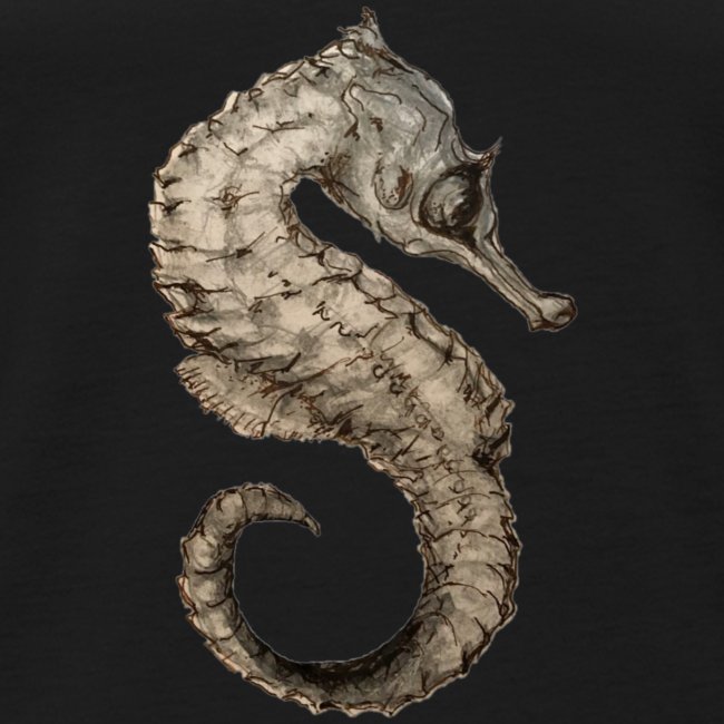 seahorse sea horse