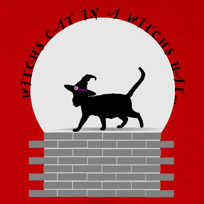 Witch's Cat In A Witch's Hat