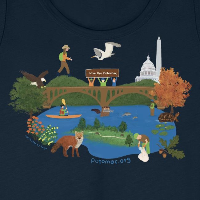 Icons of the Potomac