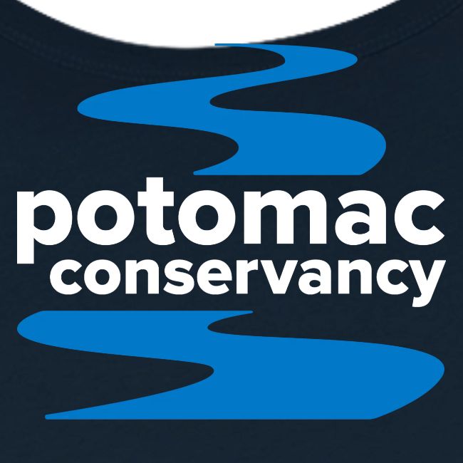 Icons of the Potomac