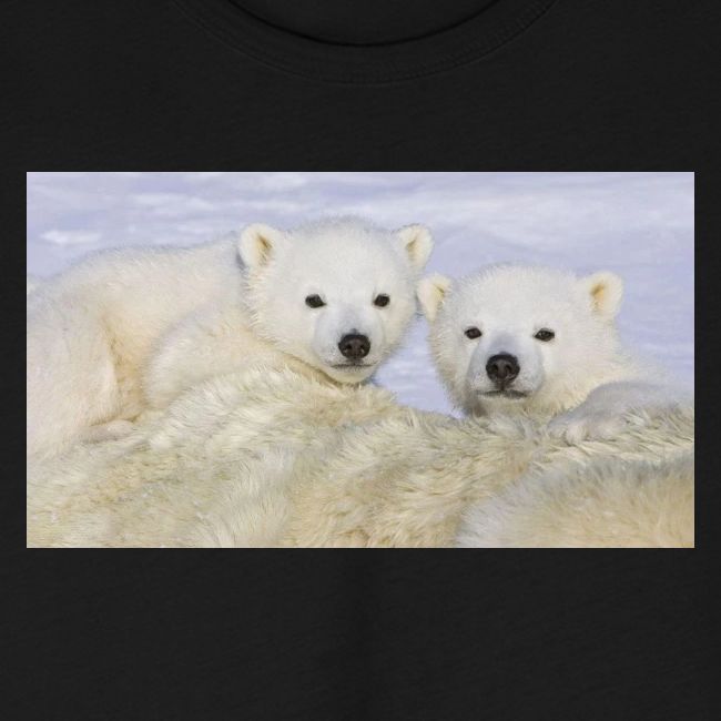 polarbears