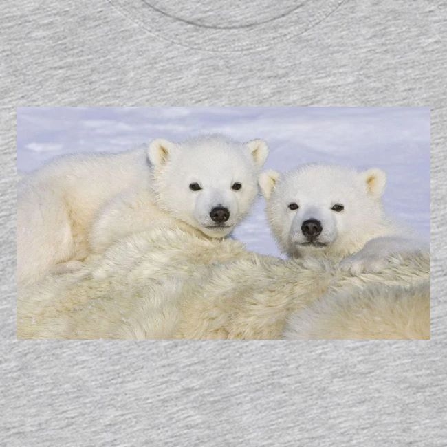 polarbears
