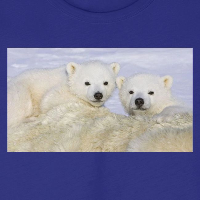 polarbears