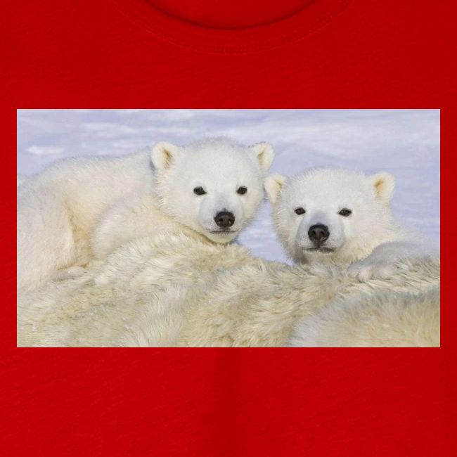 polarbears