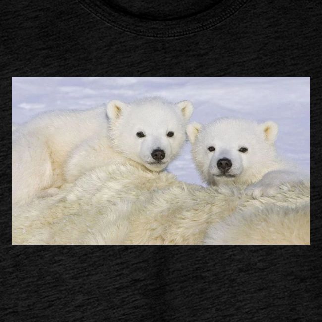 polarbears
